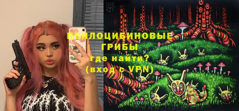 Галлюциногенные грибы Psilocybine cubensis  где можно купить наркотик  omg ССЫЛКА  Кирс 